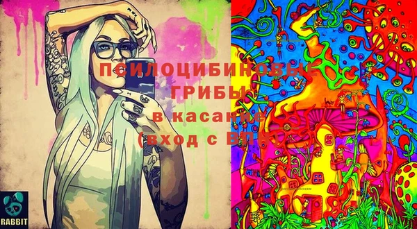 кокаин премиум Козловка