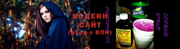 мдпв Козельск