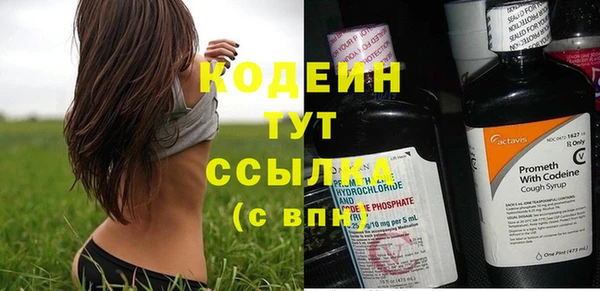 мдпв Козельск