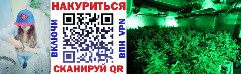 Бошки Шишки ГИДРОПОН Оса